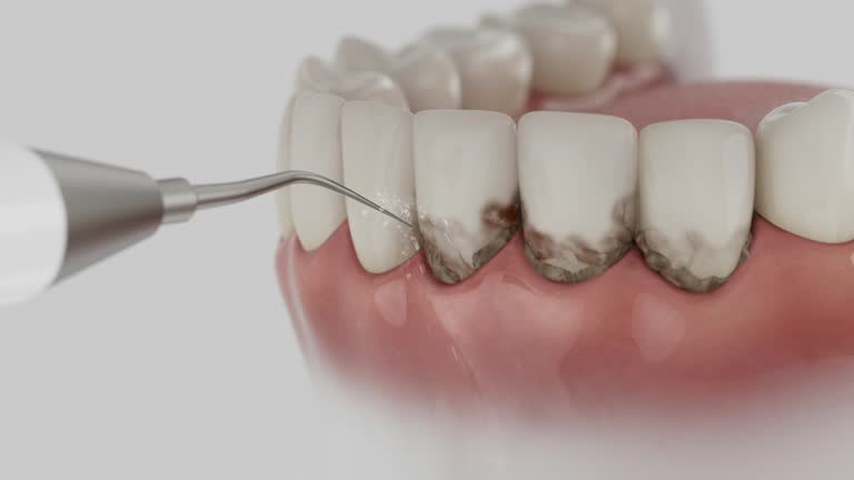 Reliable Dental contractor in East Pittsburgh, PA by Dentist Open Now
